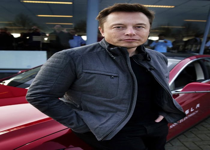 Telsa CEO Elon Musk 2014 2 Elon Musk