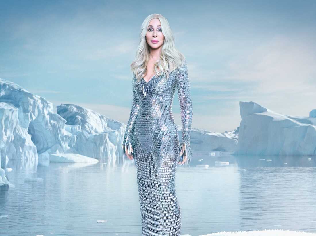 Unexpected Cher Net Worth 