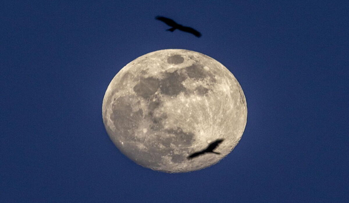 Full Moon December 2023